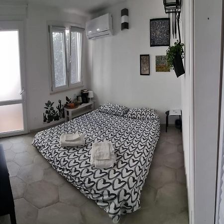Garden Room Піза Екстер'єр фото