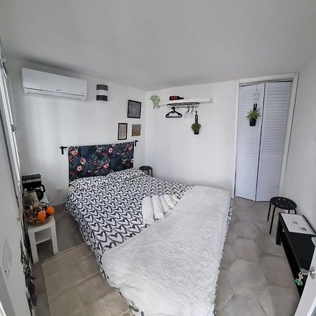 Garden Room Піза Екстер'єр фото