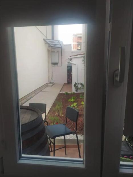 Garden Room Піза Екстер'єр фото