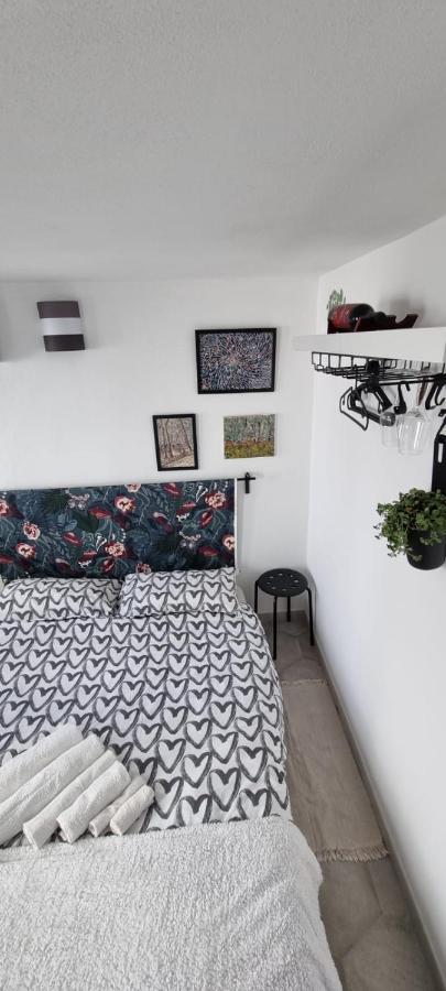 Garden Room Піза Екстер'єр фото